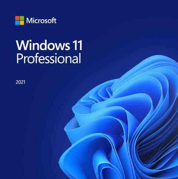 Windows 11 Pro